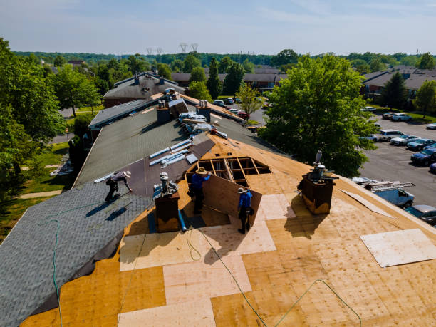 24/7 Emergency Flat Roof Repair experts in Mount Vernon, TX